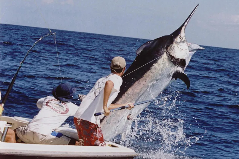 Marlin Fishing Costa Rica