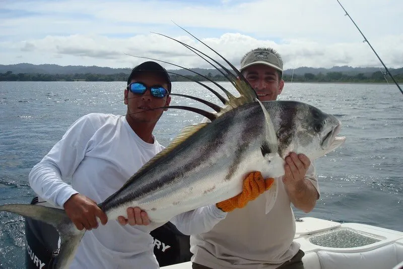 Roosterfish Fishing Costa Rica