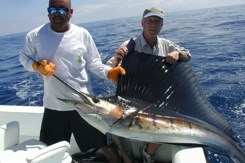 Sailfish Fishing Costa Rica