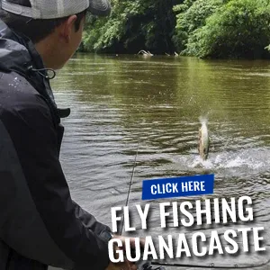 Fly Fishing in Guanacaste