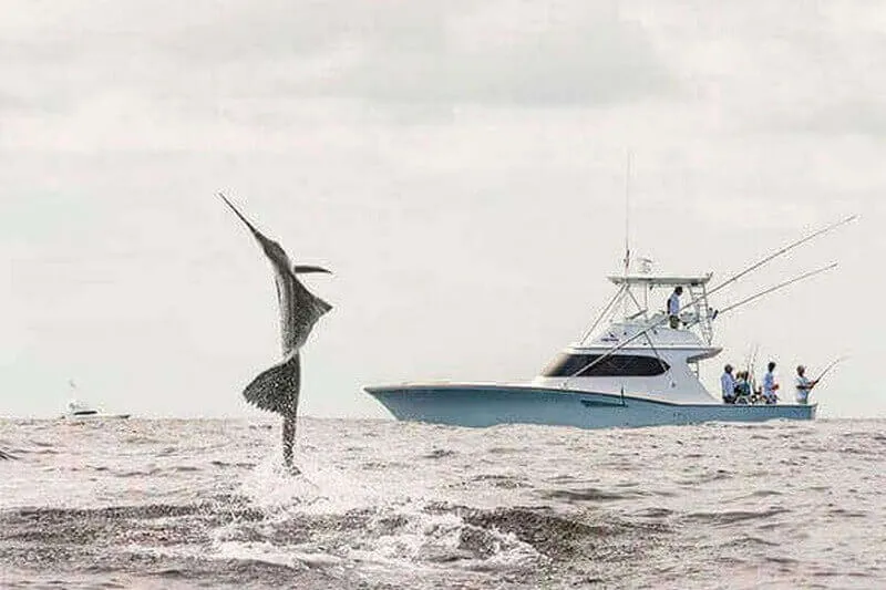 Jaco Fishing in Costa Rica