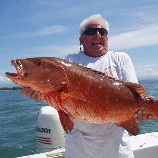 Bottom Fishing Costa Rica