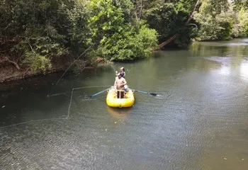 Damas Island Fishing Costa Rica