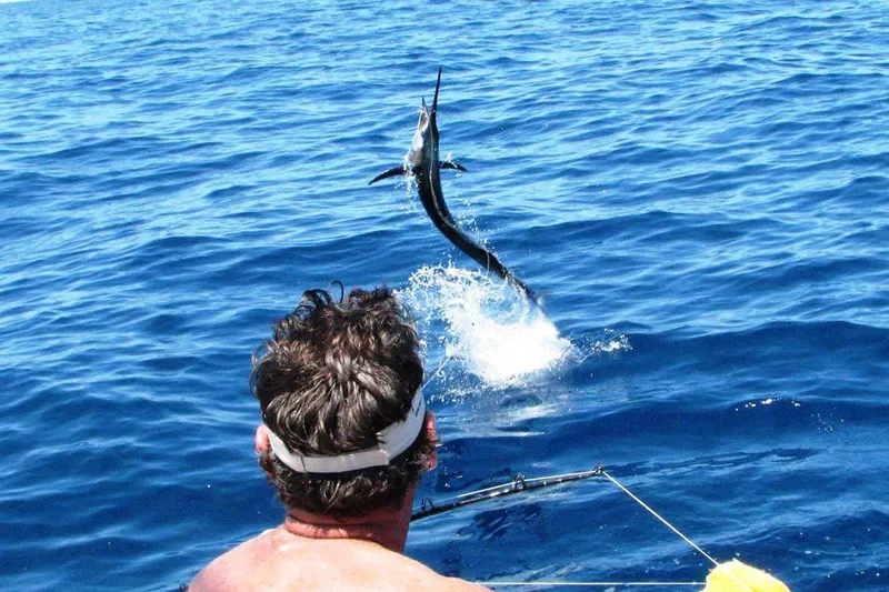 Marlin Fishing Costa Rica