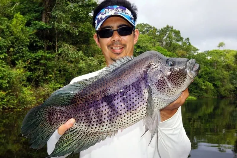 Machaca Fishing Costa Rica