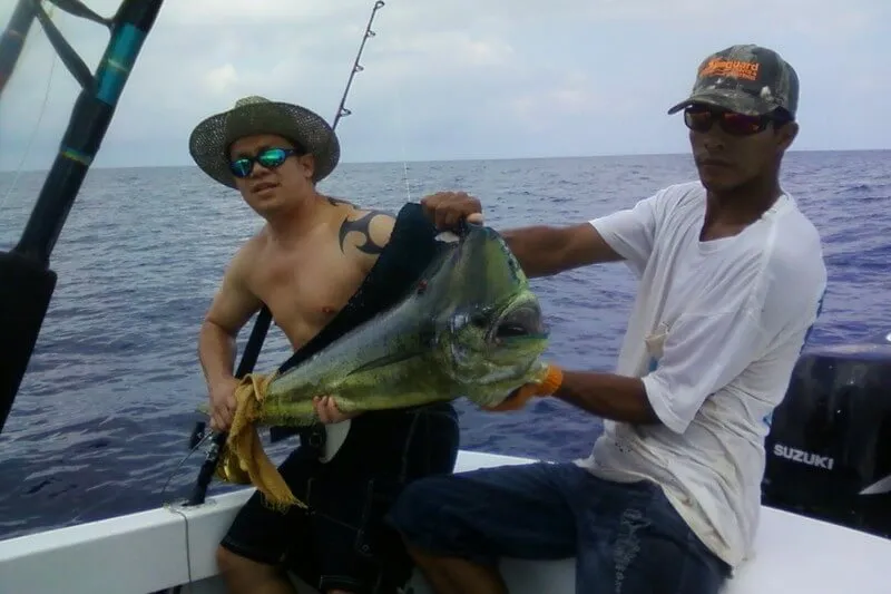 Mahi Mahi Fishing Costa Rica