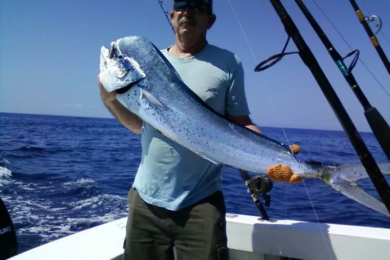 Mahi Mahi Fishing Costa Rica