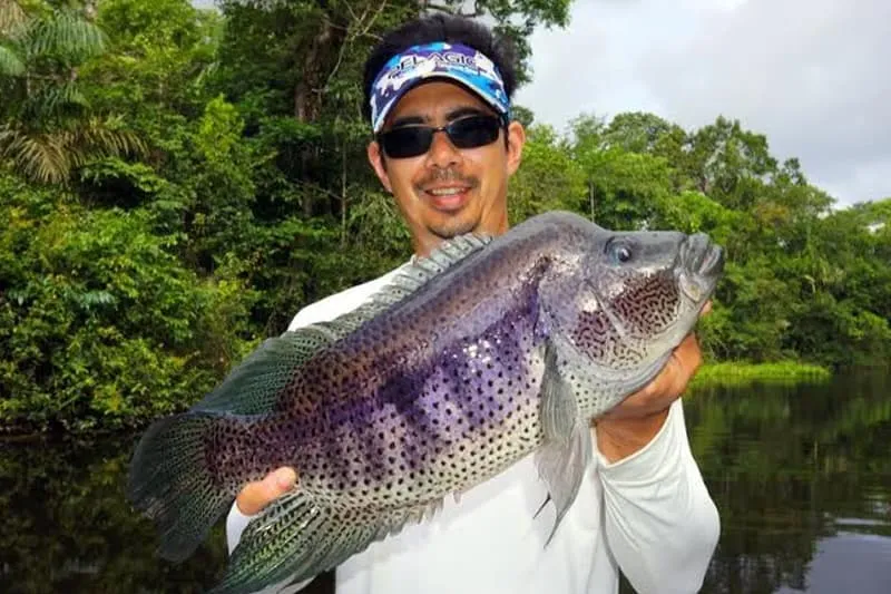 Rainbow Bass Fishing Costa Rica