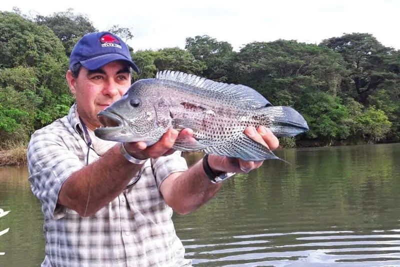 Rainbow Bass Fishing Costa Rica