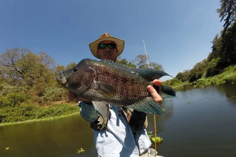 Rainbow Bass Fishing Costa Rica