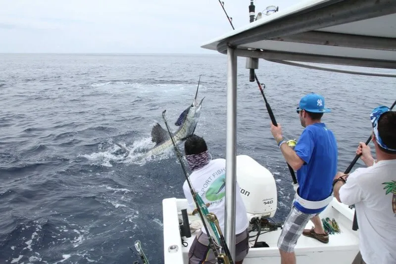 Sailfish Fishing Costa Rica