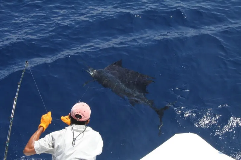 Sailfish Fishing Costa Rica