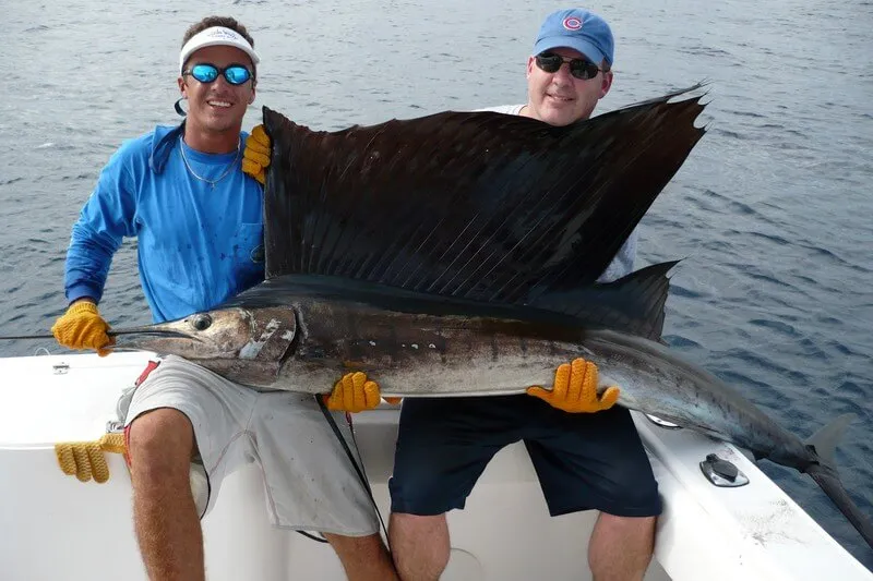 Sailfish Fishing Costa Rica