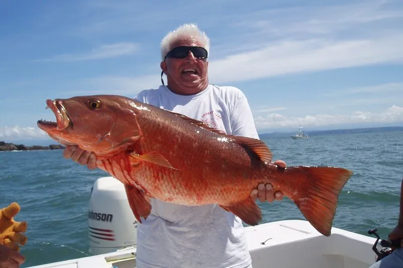 Snapper Fishing Costa Rica