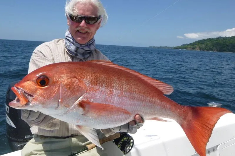 Snapper Fishing Costa Rica