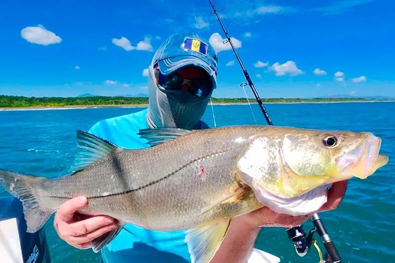 Snook Fishing Costa Rica