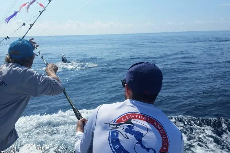 Snook Fishing Costa Rica