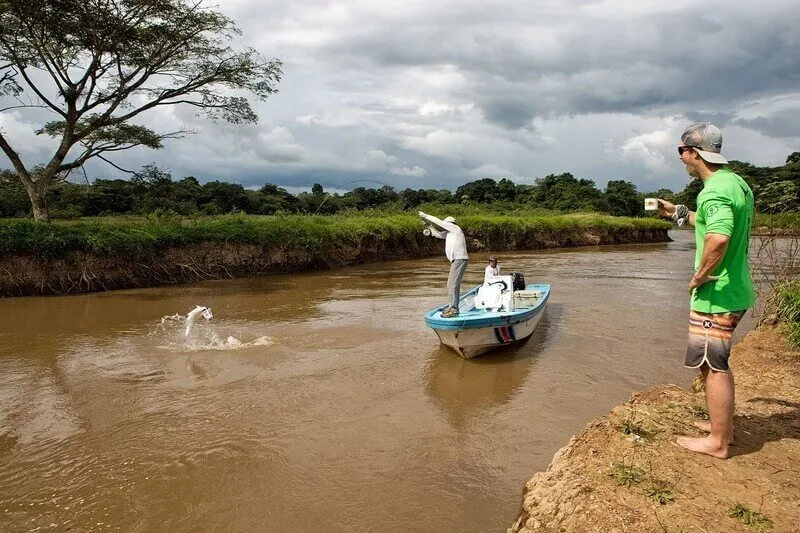 Tarpon Fishing Costa Rica