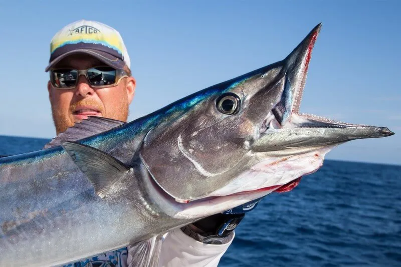 Wahoo Fishing Costa Rica