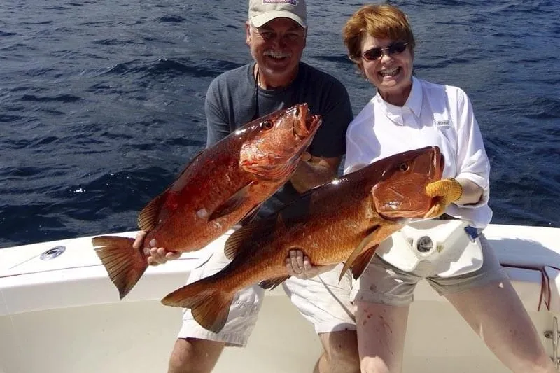 Flamingo Bottom Fishing