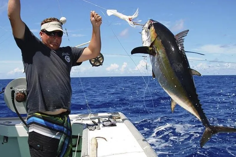 Flamingo Tuna Fishing