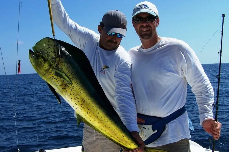 Flamingo Dorado Fishing