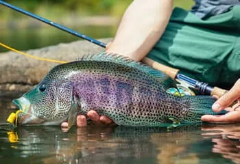 Arenal Lake Fishing