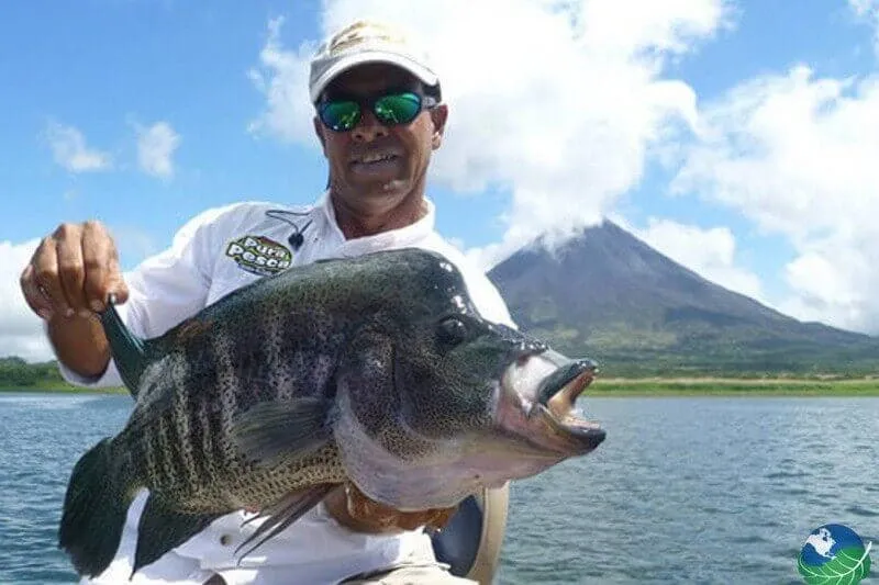 Arenal Lake Fishing