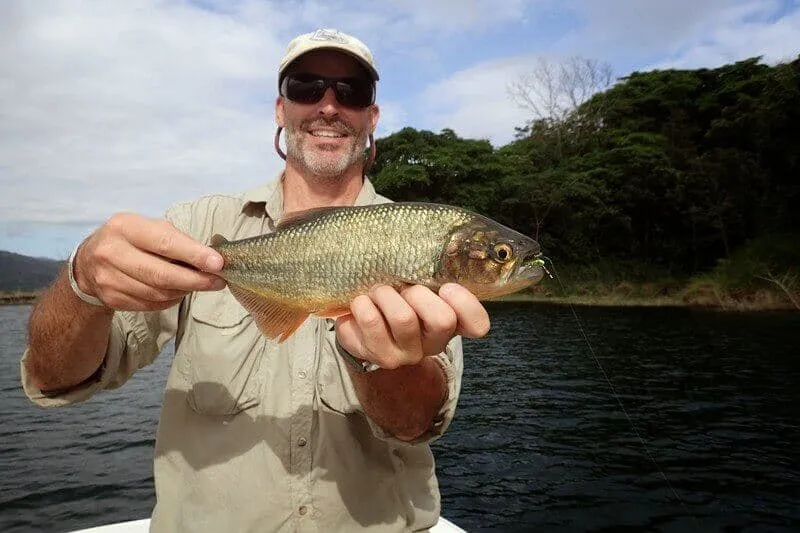 Arenal Lake Fishing