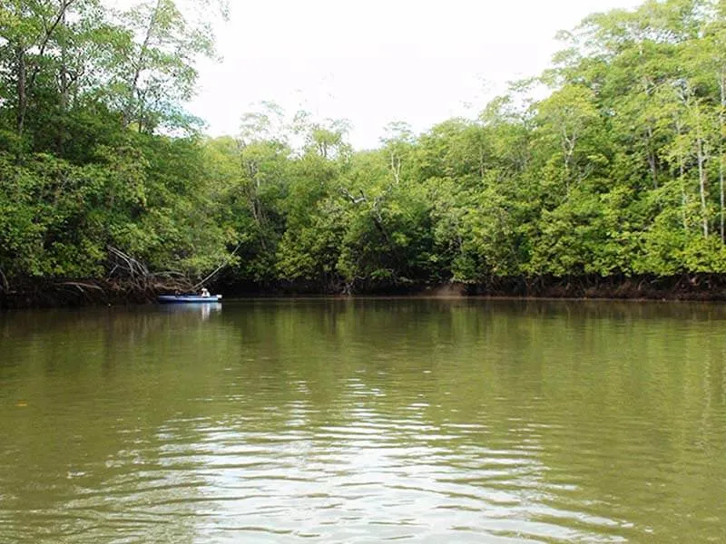 Damas Island Fishing Costa Rica