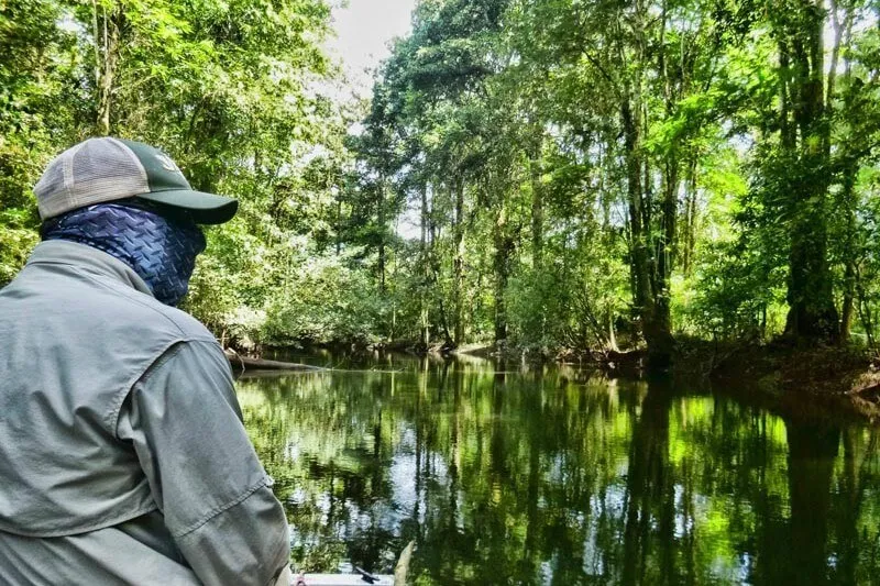 Sierpe River Fishing Costa Rica