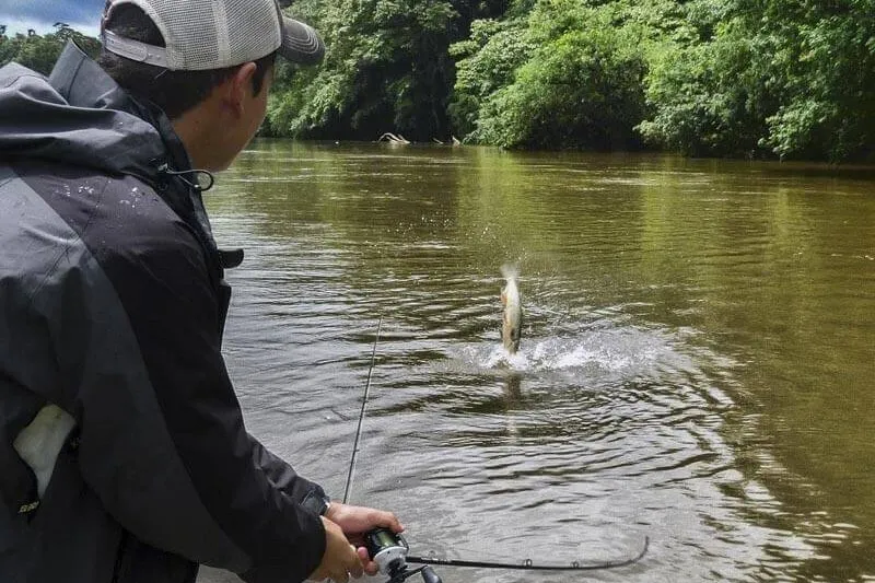 Sierpe River Fishing Costa Rica