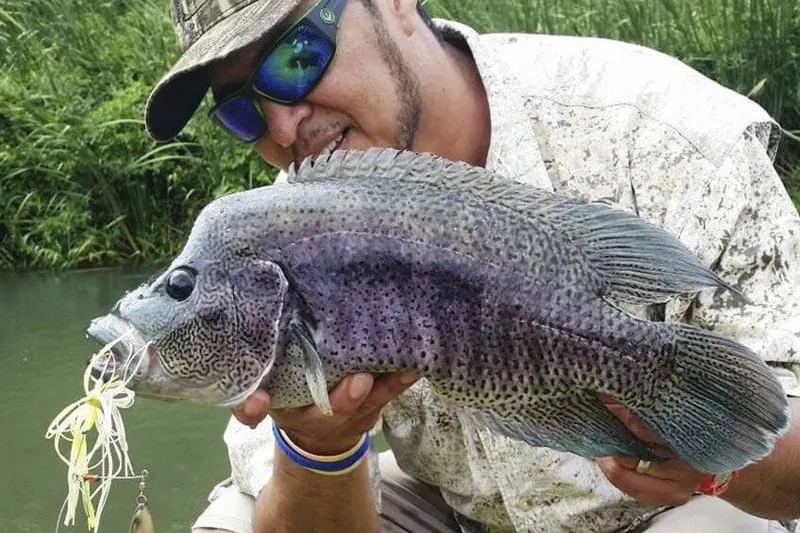 Sierpe River Fishing Costa Rica