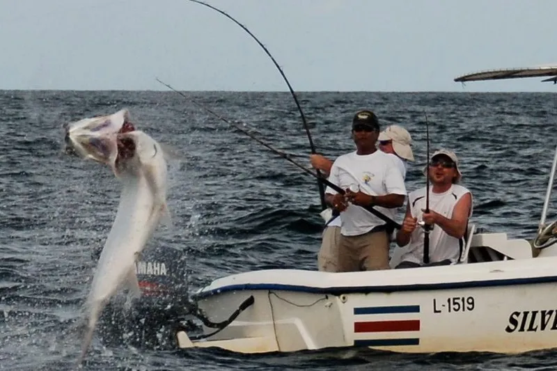 Silverking Lodge Fishing Costa Rica