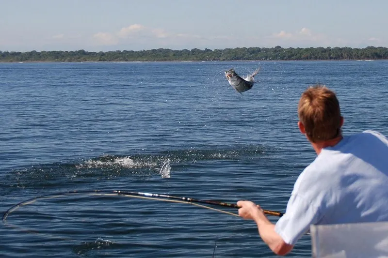 Silverking Lodge Fishing Costa Rica