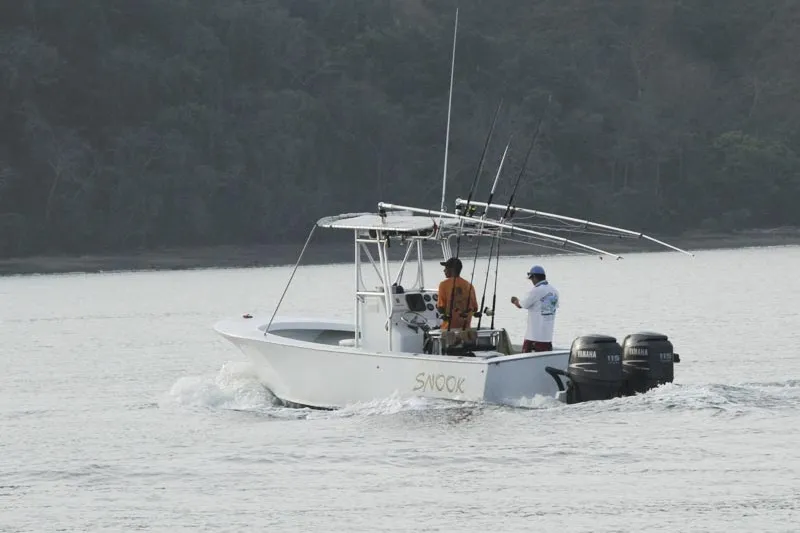 Snook Sportfishing