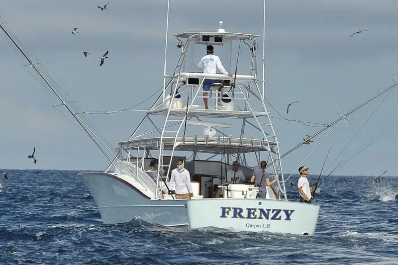 Frenzy Sportfishing