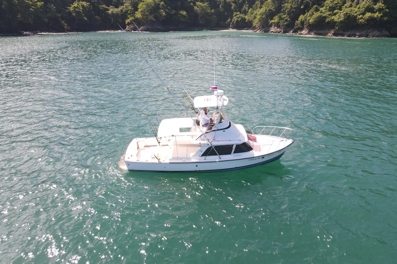 Monkey Sea Sportfishing Monkey Sea Sportfishing