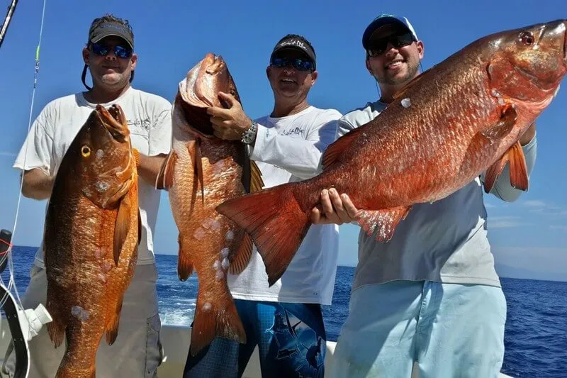 Inshore Fishing Quepos