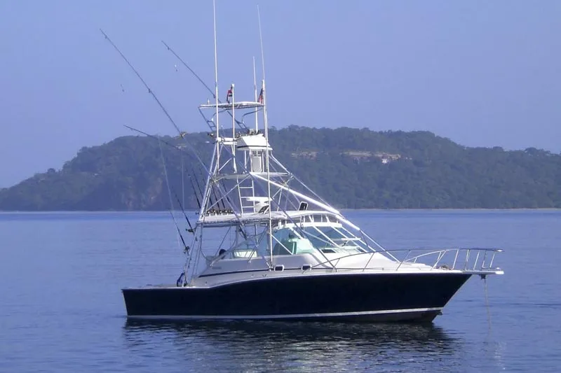 Sea Hawk Sportfishing