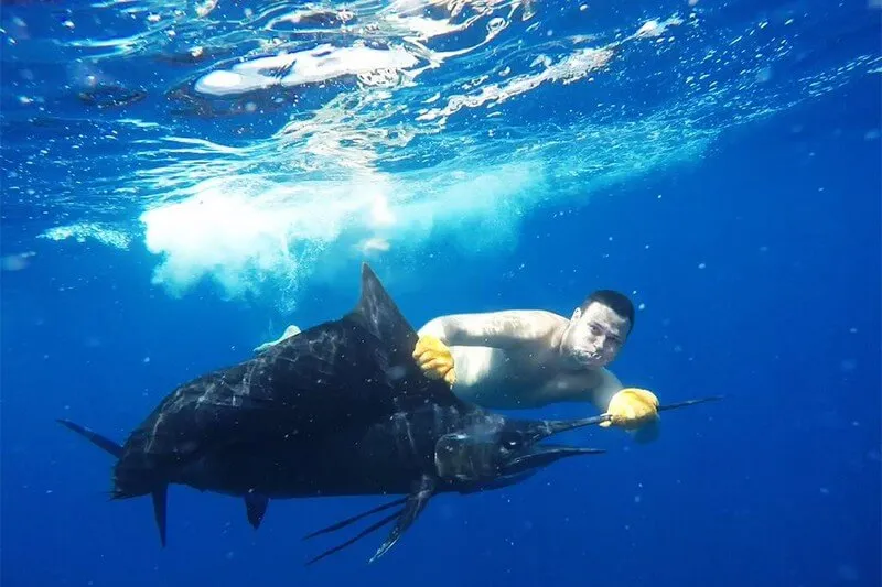 Offshore Fishing Quepos