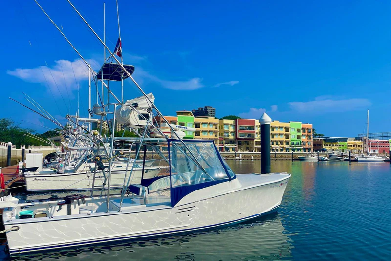 Swordfish Sportfishing Swordfish Sportfishing
