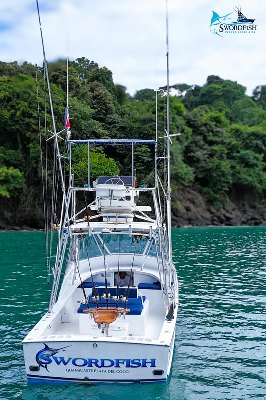 Swordfish Fishing Marina Pez Vela Swordfish Fishing Marina Pez Vela
