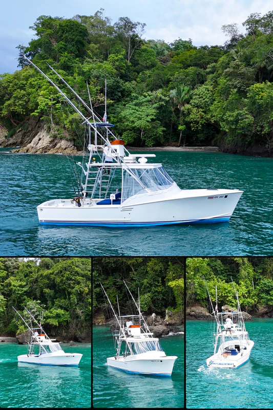Swordfish Tuna Fishing Swordfish Tuna Fishing