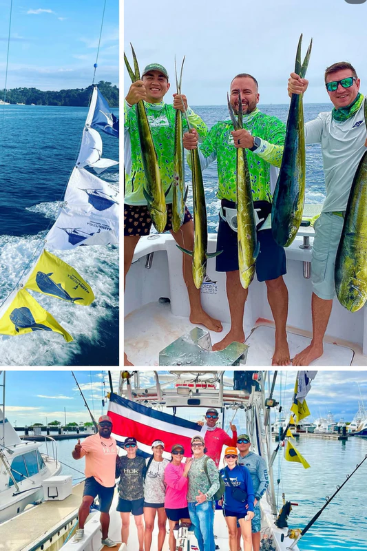 Sportfishing Swordfish Quepos Sportfishing Swordfish Quepos