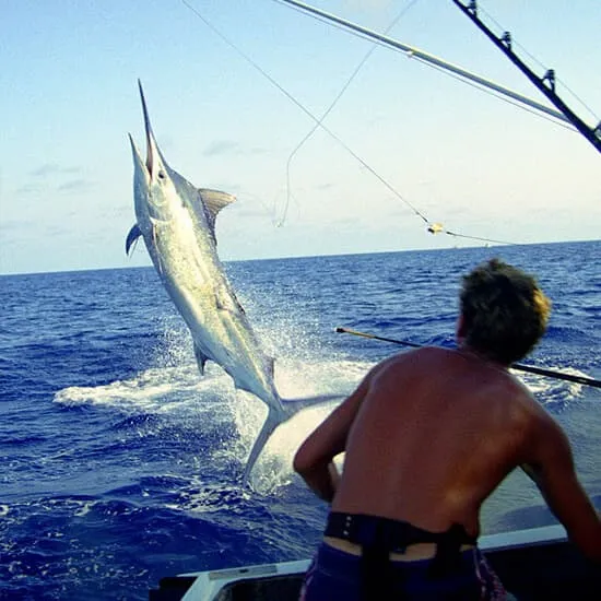 Marlin Fishing Costa Rica