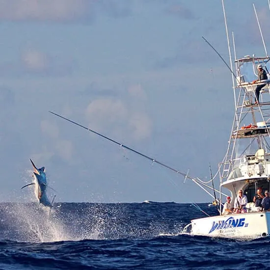 Offshore Fishing Costa Rica