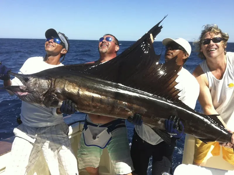 Coco Beach Sailfish Fishing