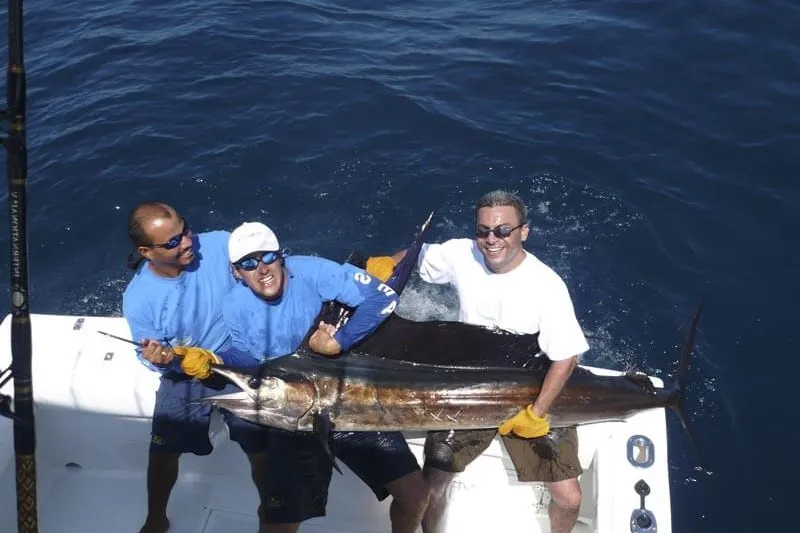 Tamarindo Sailfish Fishing