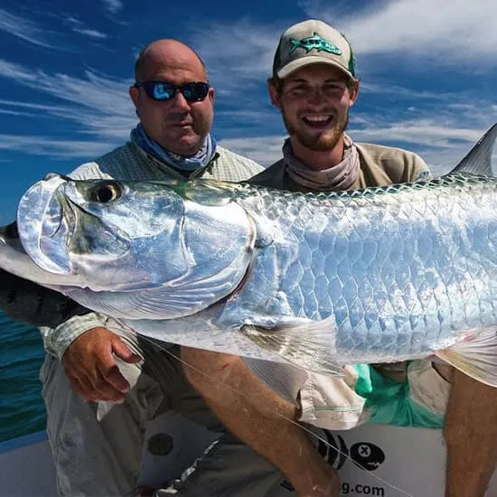 Tarpon Fishing Costa Rica